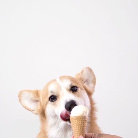 Meet your Posher, Leah - Picture 1 of 1